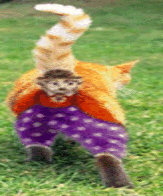  photo f_Cha2m_1ee457e.gif
