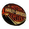 harley Pictures, Images and Photos