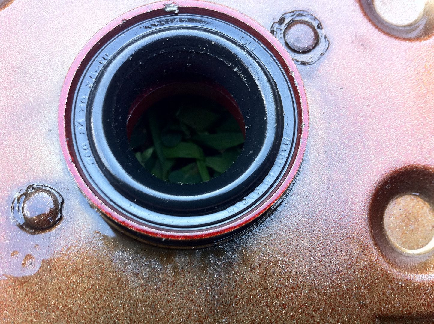 Oil filled into the number 2 spark plug tube. S2KI Honda S2000 Forums