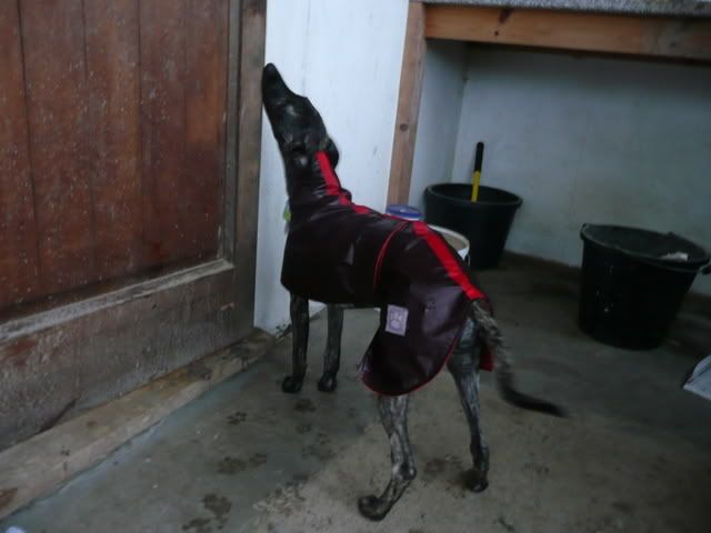 P1000181.jpg