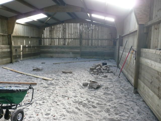 P1000015.jpg