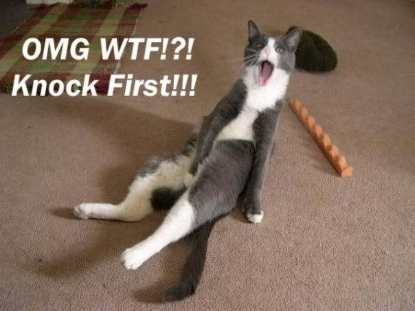 Forum Image: http://i123.photobucket.com/albums/o283/Lone-Alchemist/funny-2.jpg
