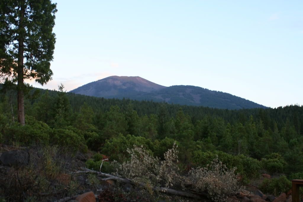 20080807_0594.jpg