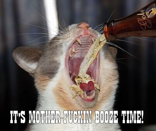 [Image: cat_booze_time.jpg]
