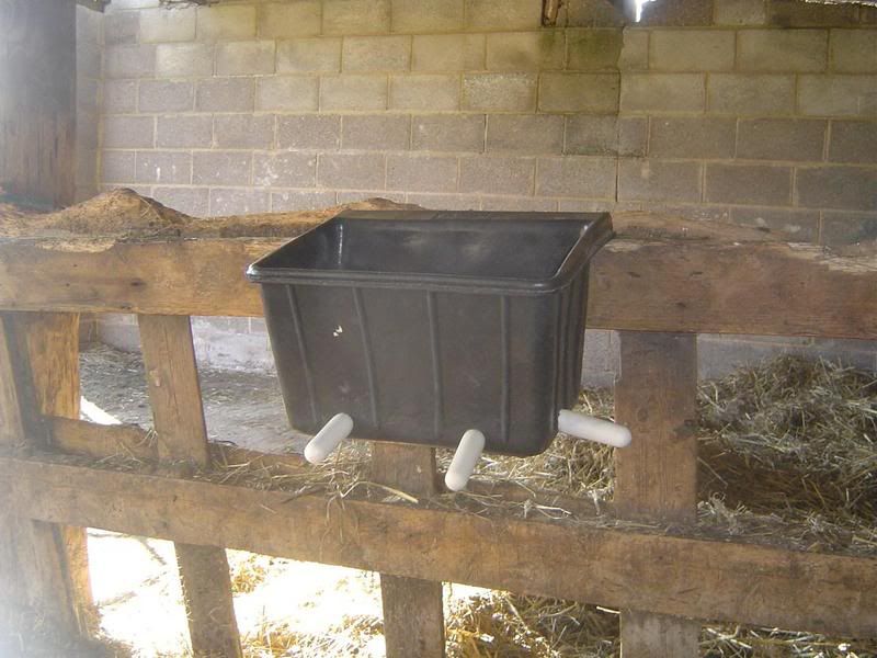 automatic lamb feeder! D