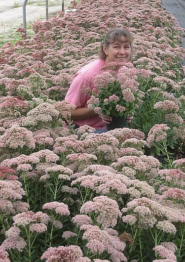 photo anita with autumn joy.jpg