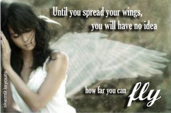 spreadyourwings02454504d5s4f0asda.png