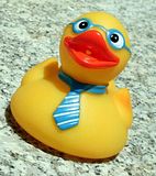 th_531pxGeek_rubber_duck.jpg