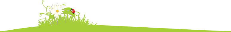 footer-background-top.png