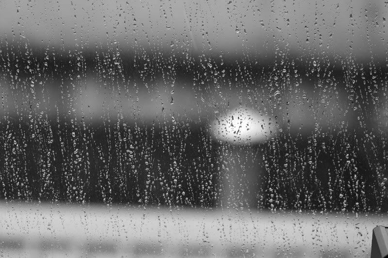 IMAGE: http://i123.photobucket.com/albums/o288/willyb_photo/001-5.jpg