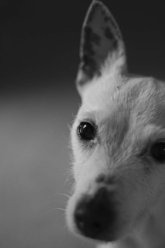 IMAGE: http://i123.photobucket.com/albums/o288/willyb_photo/002-3.jpg