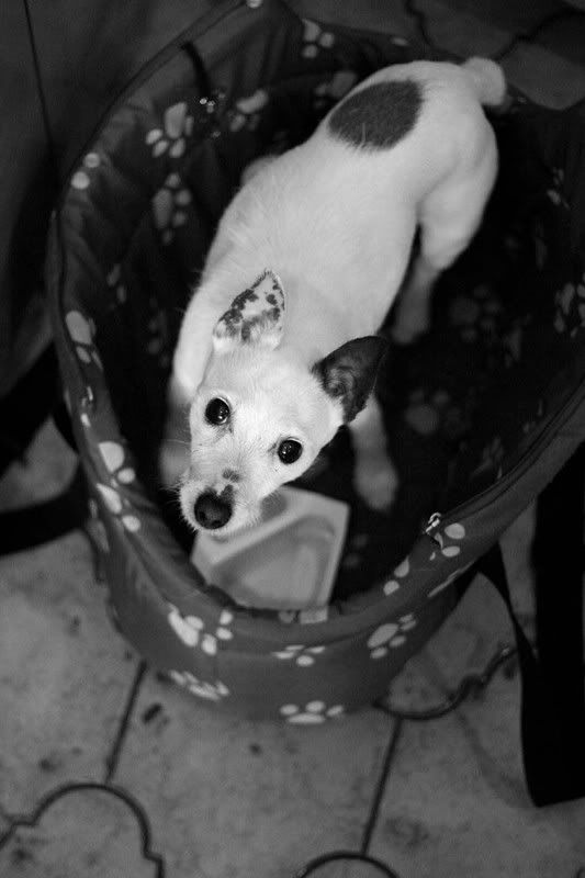 IMAGE: http://i123.photobucket.com/albums/o288/willyb_photo/003-5.jpg