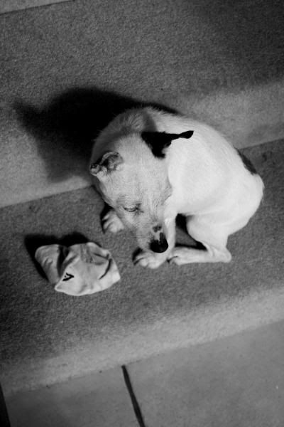 IMAGE: http://i123.photobucket.com/albums/o288/willyb_photo/003-7.jpg