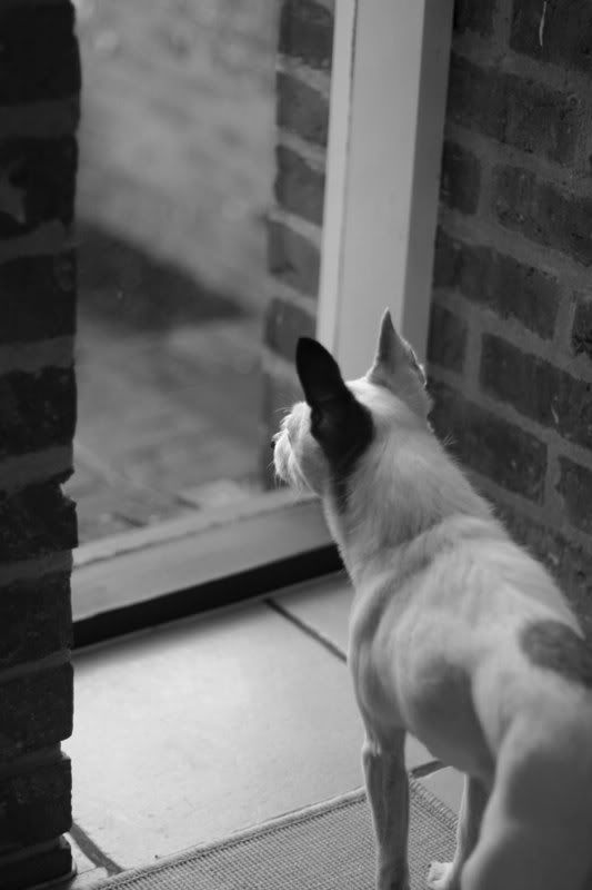 IMAGE: http://i123.photobucket.com/albums/o288/willyb_photo/004-7.jpg