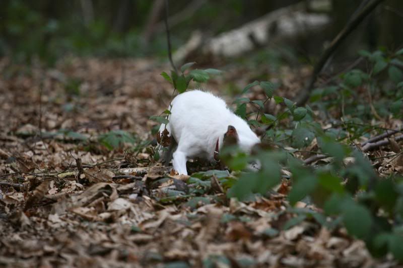 IMAGE: http://i123.photobucket.com/albums/o288/willyb_photo/005-10.jpg