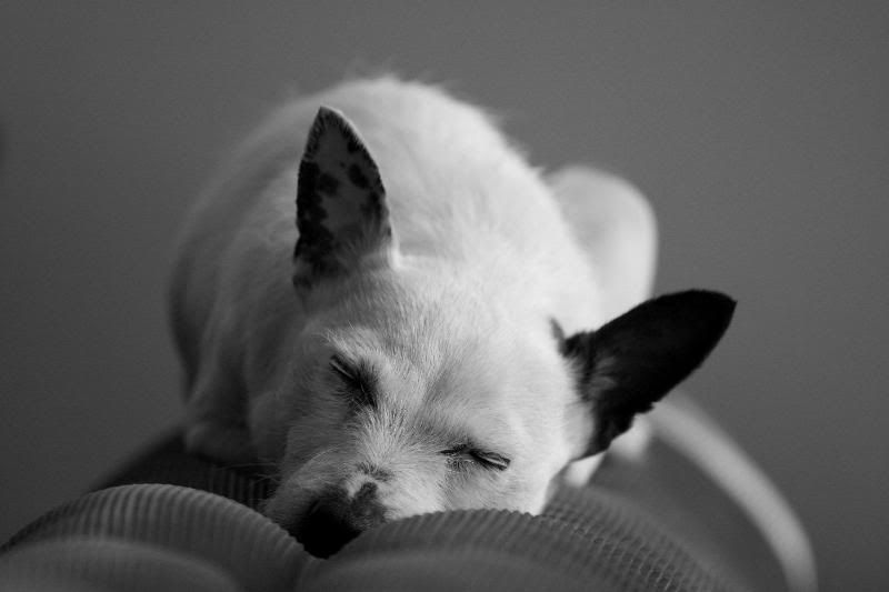 IMAGE: http://i123.photobucket.com/albums/o288/willyb_photo/005-11.jpg