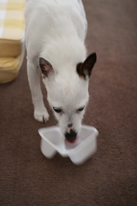 IMAGE: http://i123.photobucket.com/albums/o288/willyb_photo/005-5.jpg