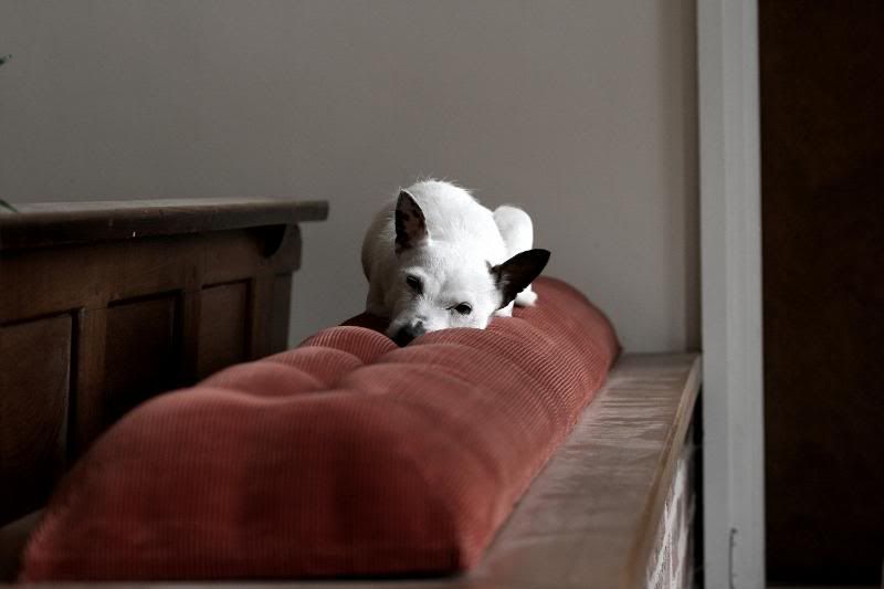 IMAGE: http://i123.photobucket.com/albums/o288/willyb_photo/006-8.jpg