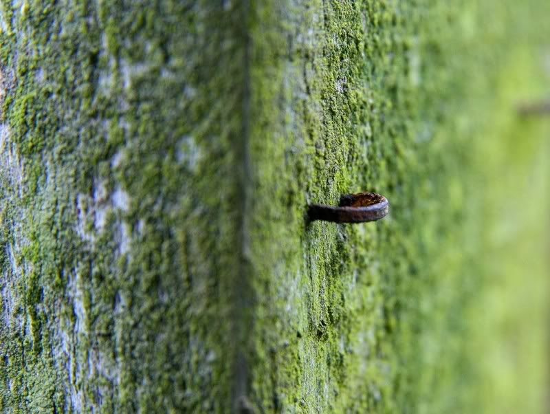 IMAGE: http://i123.photobucket.com/albums/o288/willyb_photo/008-6.jpg