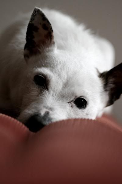 IMAGE: http://i123.photobucket.com/albums/o288/willyb_photo/009-4.jpg