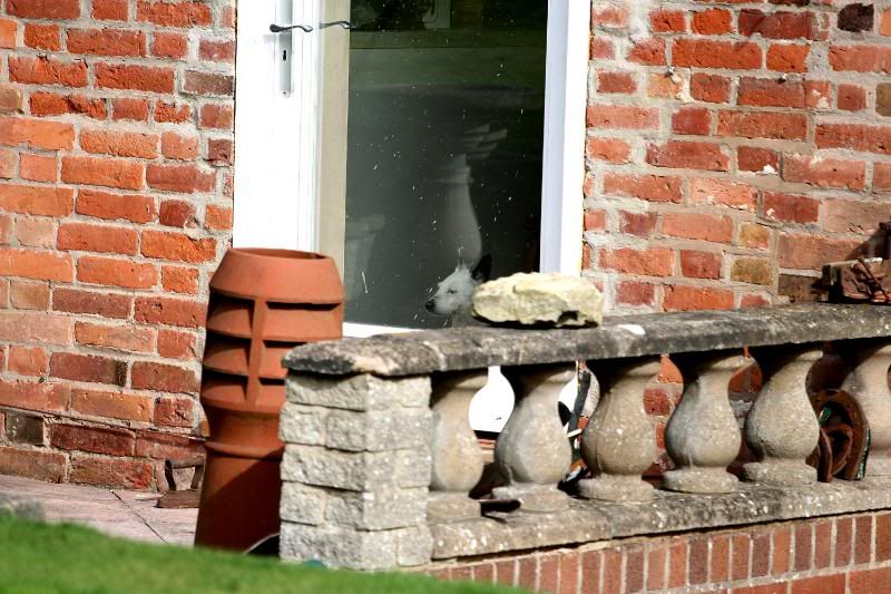 IMAGE: http://i123.photobucket.com/albums/o288/willyb_photo/010.jpg