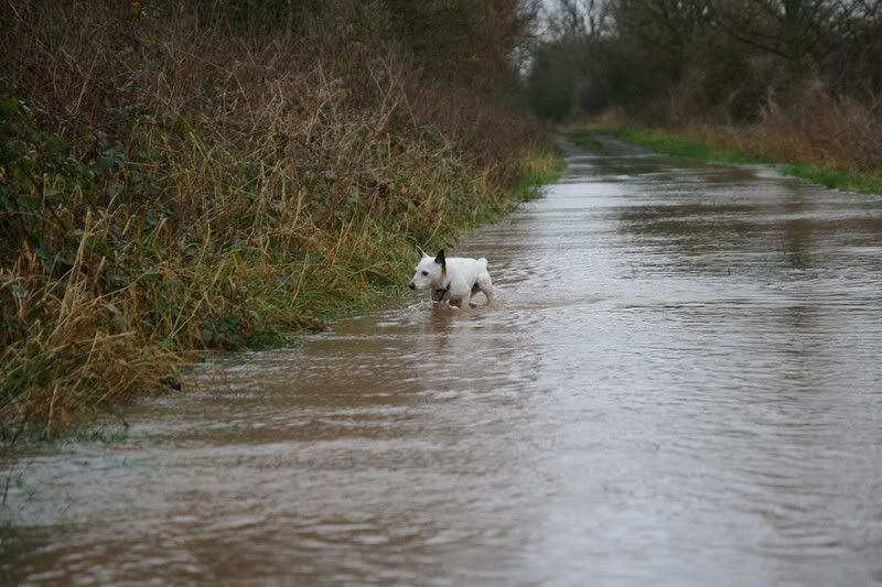 IMAGE: http://i123.photobucket.com/albums/o288/willyb_photo/011-4.jpg