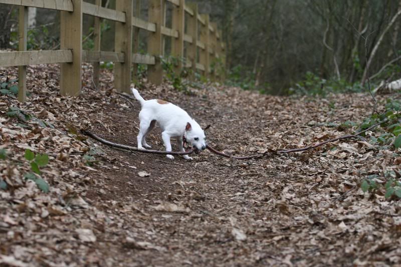 IMAGE: http://i123.photobucket.com/albums/o288/willyb_photo/011-7.jpg