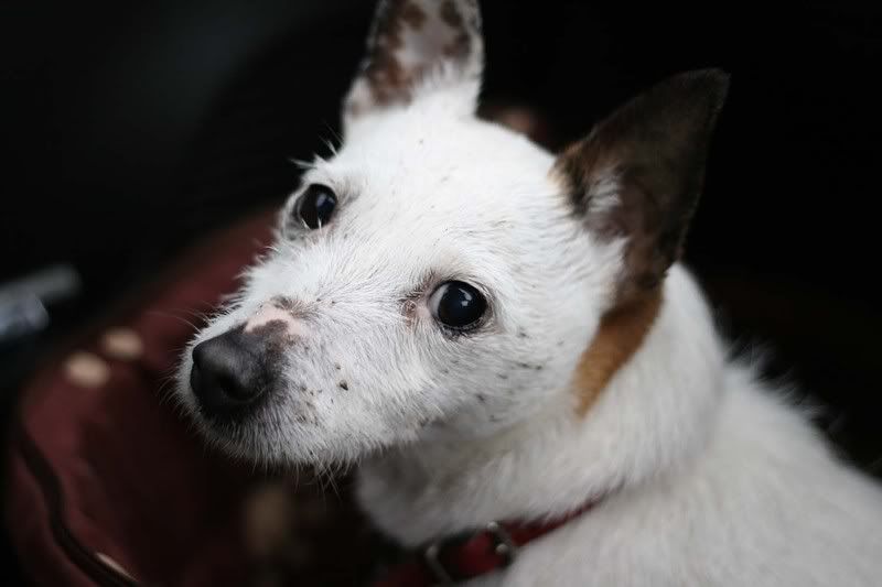 IMAGE: http://i123.photobucket.com/albums/o288/willyb_photo/012-5.jpg