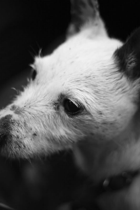 IMAGE: http://i123.photobucket.com/albums/o288/willyb_photo/013-5.jpg