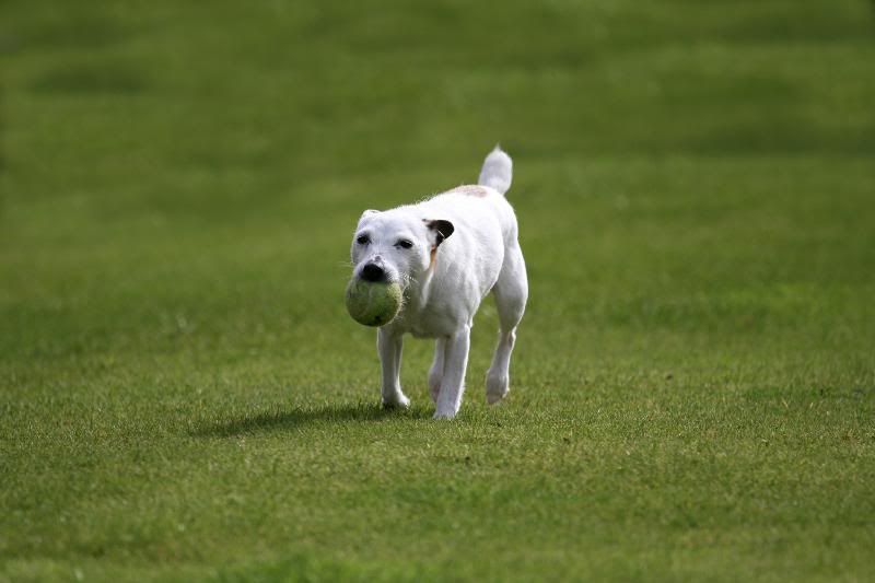 IMAGE: http://i123.photobucket.com/albums/o288/willyb_photo/014-4.jpg