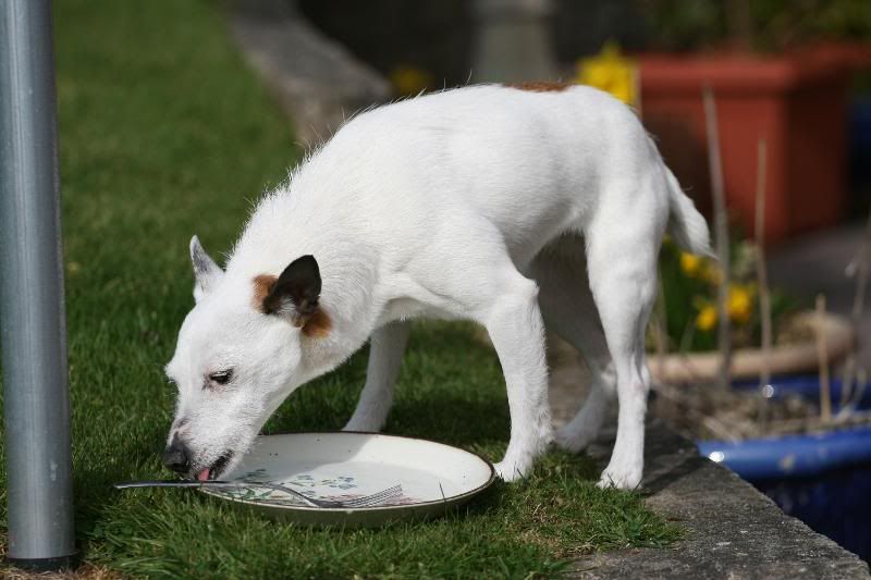 IMAGE: http://i123.photobucket.com/albums/o288/willyb_photo/018.jpg