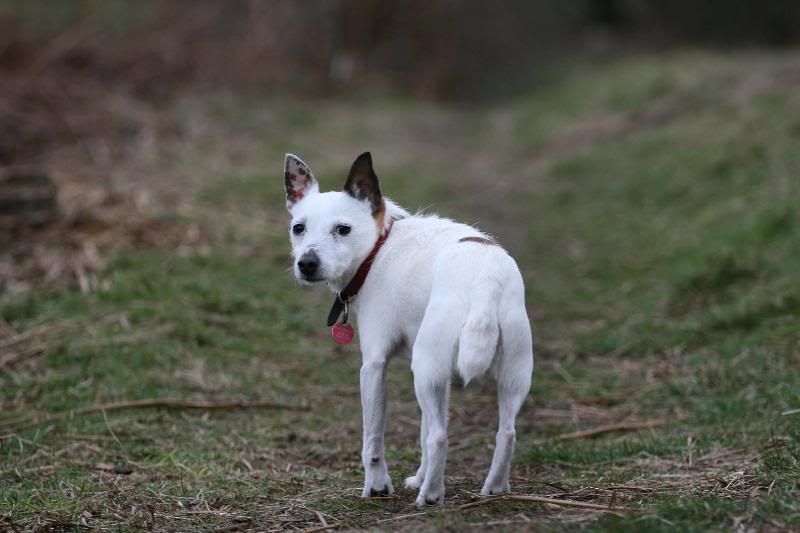 IMAGE: http://i123.photobucket.com/albums/o288/willyb_photo/024-6.jpg