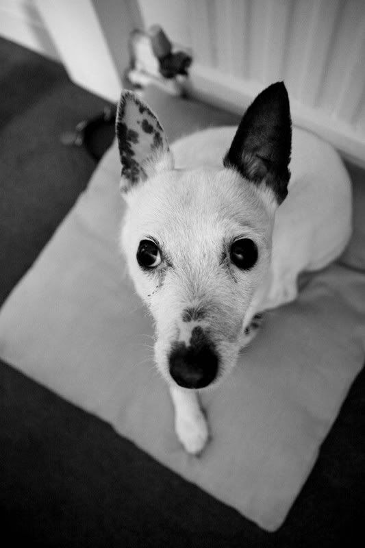 IMAGE: http://i123.photobucket.com/albums/o288/willyb_photo/024-7.jpg