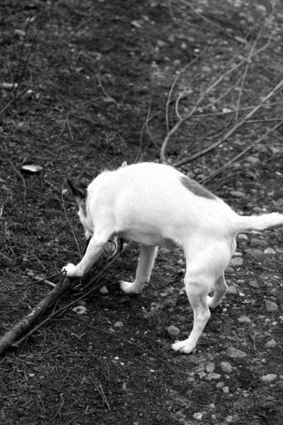 IMAGE: http://i123.photobucket.com/albums/o288/willyb_photo/025-7.jpg