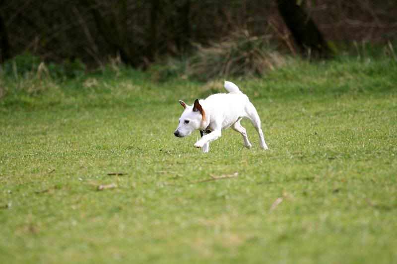 IMAGE: http://i123.photobucket.com/albums/o288/willyb_photo/025.jpg