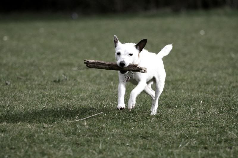 IMAGE: http://i123.photobucket.com/albums/o288/willyb_photo/028-5.jpg