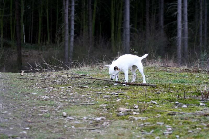 IMAGE: http://i123.photobucket.com/albums/o288/willyb_photo/029-5.jpg