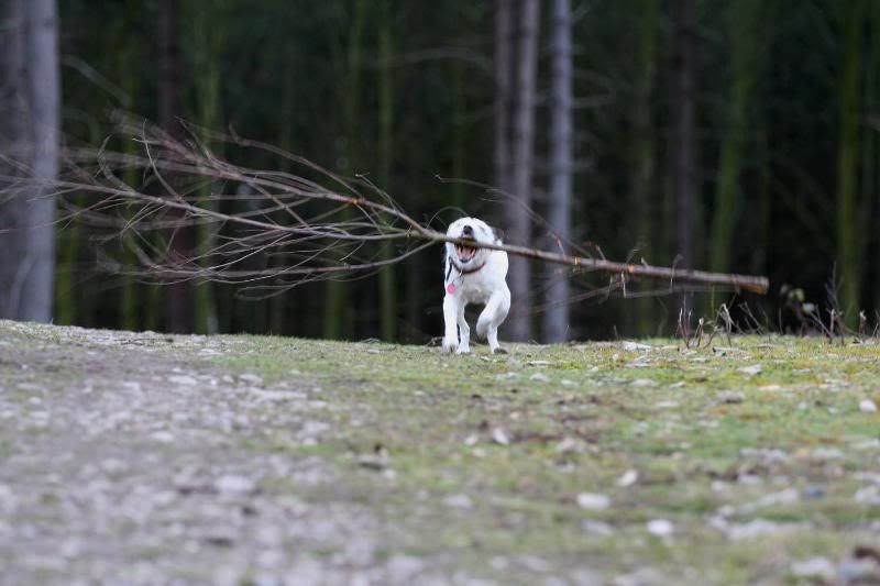 IMAGE: http://i123.photobucket.com/albums/o288/willyb_photo/032-10.jpg