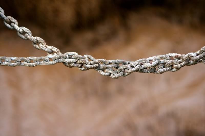 IMAGE: http://i123.photobucket.com/albums/o288/willyb_photo/035-4.jpg