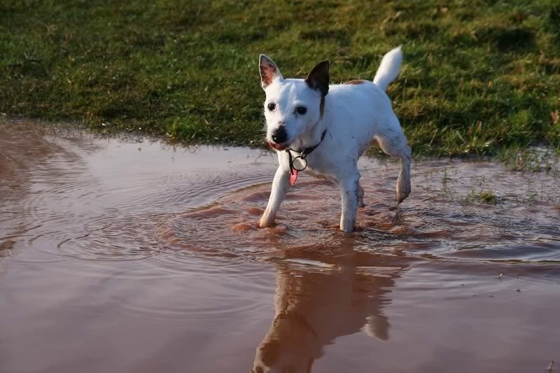 IMAGE: http://i123.photobucket.com/albums/o288/willyb_photo/037-6.jpg