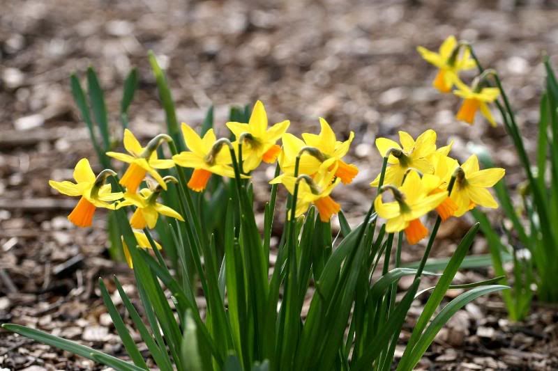 IMAGE: http://i123.photobucket.com/albums/o288/willyb_photo/049.jpg