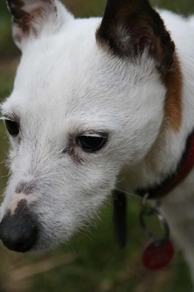 IMAGE: http://i123.photobucket.com/albums/o288/willyb_photo/052-4.jpg