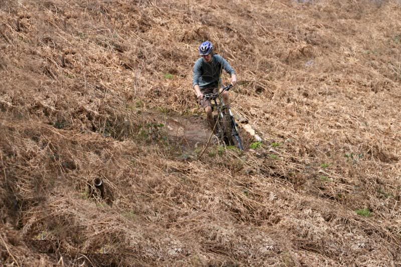 IMAGE: http://i123.photobucket.com/albums/o288/willyb_photo/053.jpg