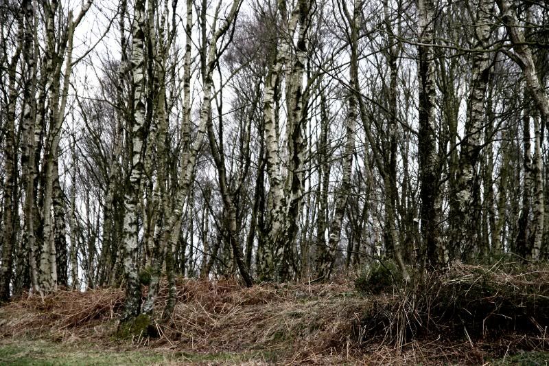 IMAGE: http://i123.photobucket.com/albums/o288/willyb_photo/057.jpg