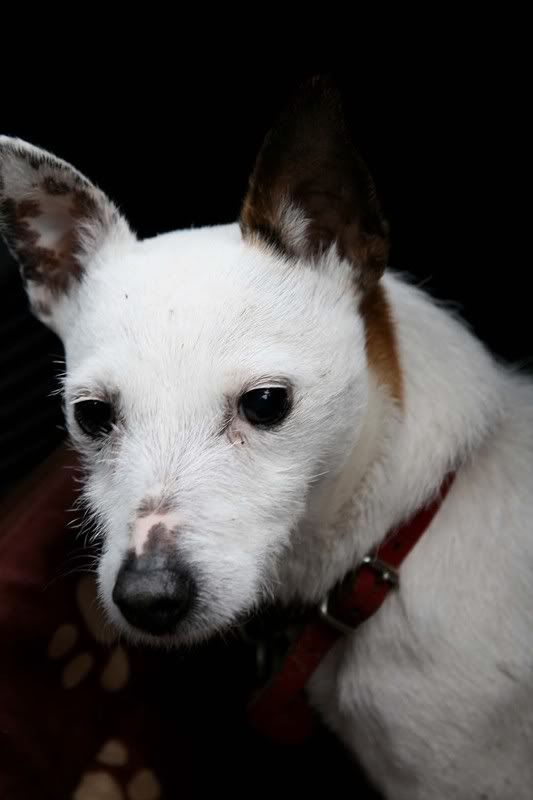 IMAGE: http://i123.photobucket.com/albums/o288/willyb_photo/059-4.jpg