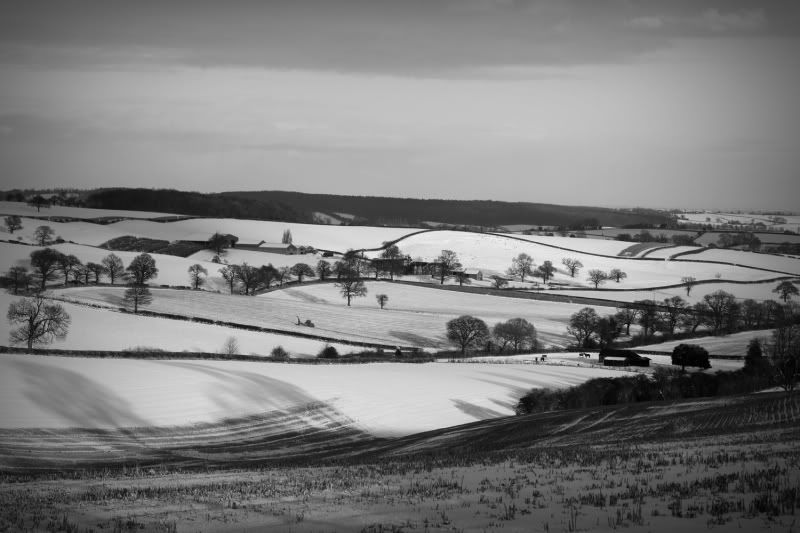 IMAGE: http://i123.photobucket.com/albums/o288/willyb_photo/06012010.jpg