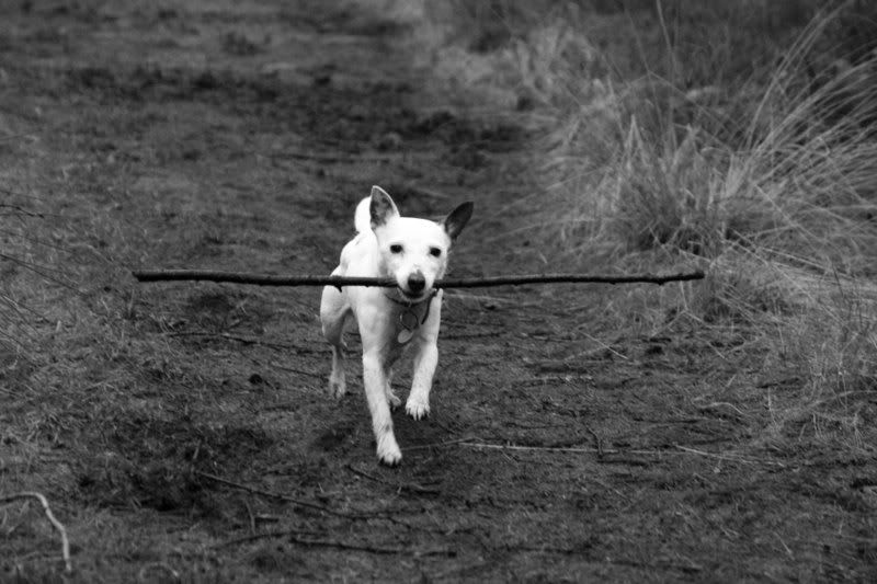 IMAGE: http://i123.photobucket.com/albums/o288/willyb_photo/068-7.jpg