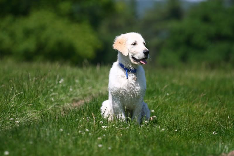 IMAGE: http://i123.photobucket.com/albums/o288/willyb_photo/073-6.jpg