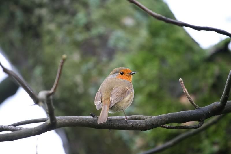 IMAGE: http://i123.photobucket.com/albums/o288/willyb_photo/086-4.jpg