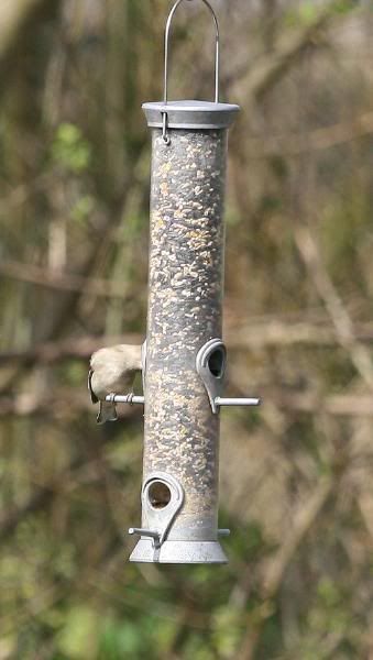 IMAGE: http://i123.photobucket.com/albums/o288/willyb_photo/099.jpg